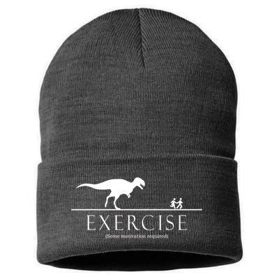 Exercise Some Motivation Required Running from T-Rex Sustainable Knit Beanie