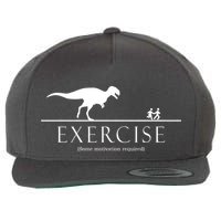 Exercise Some Motivation Required Running from T-Rex Wool Snapback Cap