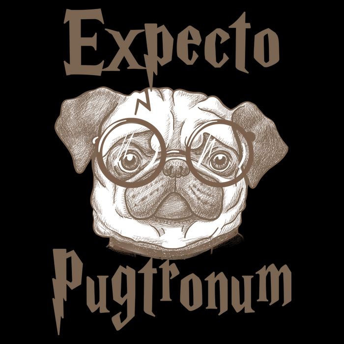 Expecto Pugtronum Funny Pug Impact Tech Backpack