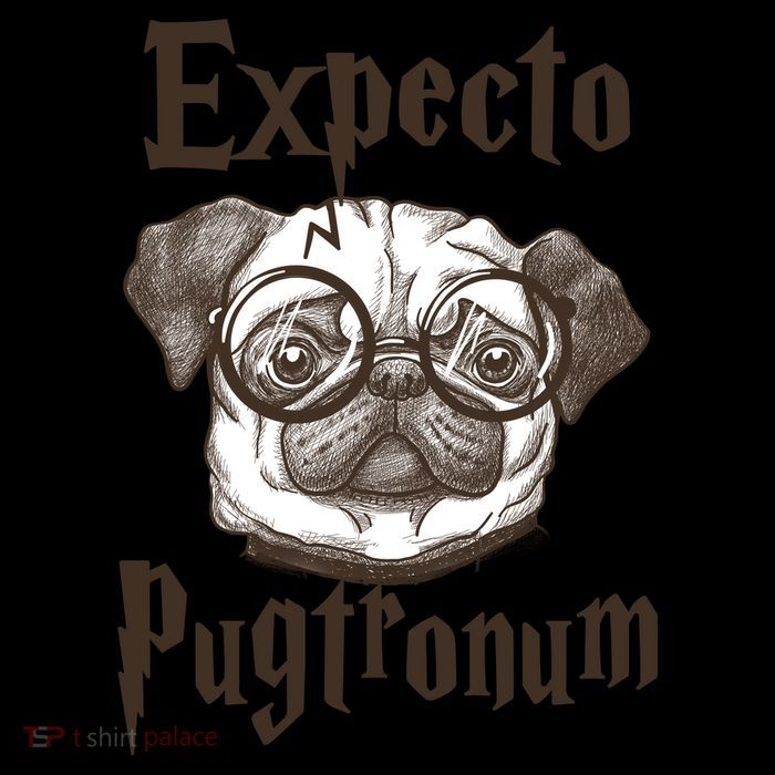 Expecto Pugtronum Funny Pug Mug