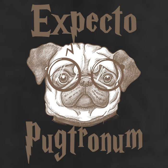 Expecto Pugtronum Funny Pug Tumbler