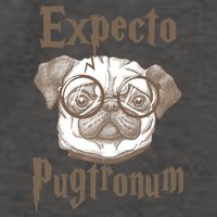 Expecto Pugtronum Funny Pug Vector Backpack
