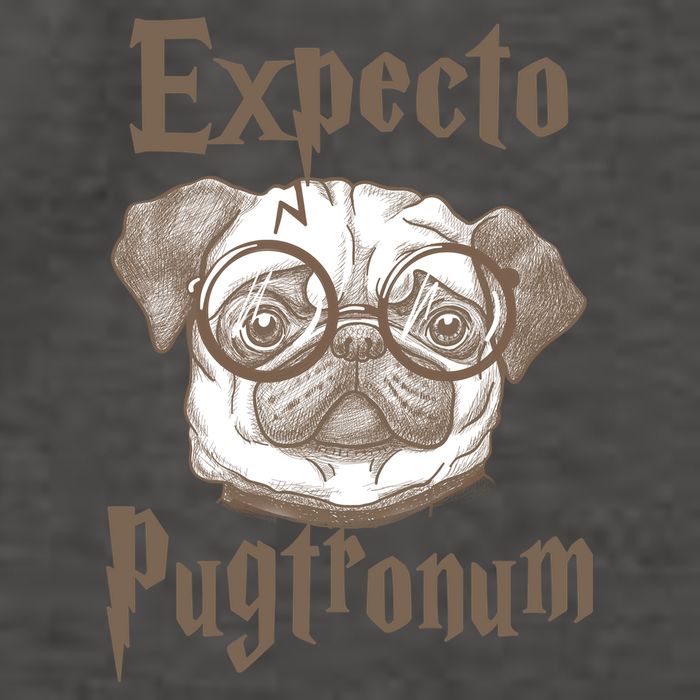 Expecto Pugtronum Funny Pug Vector Backpack