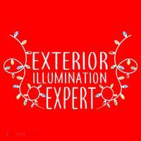 Exterior Illumination Expert Flatbill Hat