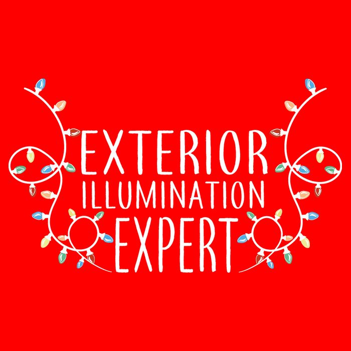 Exterior Illumination Expert Zip Tote Bag