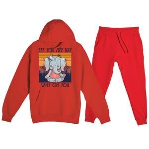 Eff You See Kay Why Oh You Funny Retro Elephant Yoga Lover Funny Gift Premium Hooded Sweatsuit Set