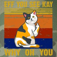 EFF You See Kay Why Oh You Funny Cat Middle Finger Legacy Tie Dye Trucker Hat
