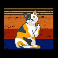 EFF You See Kay Why Oh You Funny Cat Middle Finger Mug