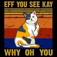 EFF You See Kay Why Oh You Funny Cat Middle Finger Flatbill Hat