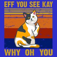 EFF You See Kay Why Oh You Funny Cat Middle Finger Button