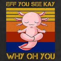 Eff You See Kay Why Oh You Funny Axolotl Premium Pullover Hoodie