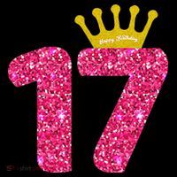 Funny 17th Party Number 17 Year Old 17th Birthday Drawstring Bag