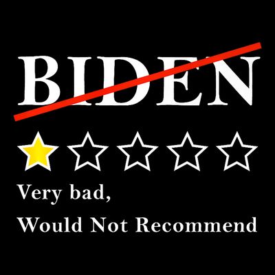 Funny 1 Star Anti Biden Very Bad Would Not Recommend T-Shirt