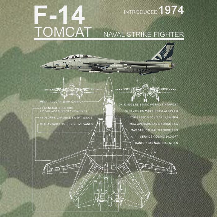 F 14 Tomcat Fighter Jet Diagram Graphic Legacy Tie Dye Trucker Hat