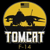 F 14 Tomcat Fighter Jet 16 in Basic Backpack