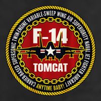 F 14 Tomcat Fighter Jet Military Aircraft Design 15oz Campfire Ceramic Mug