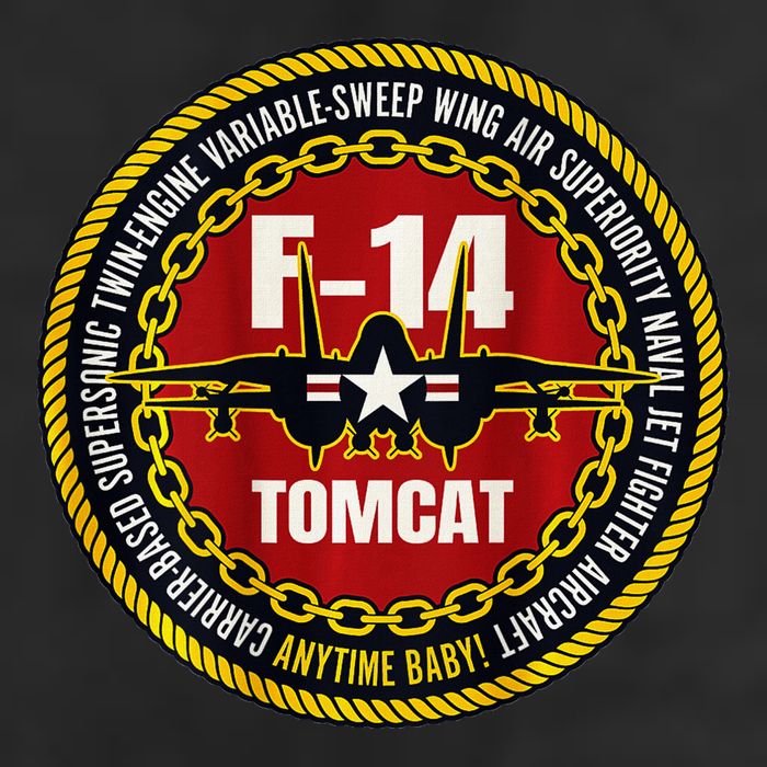 F 14 Tomcat Fighter Jet Military Aircraft Design 15oz Campfire Ceramic Mug