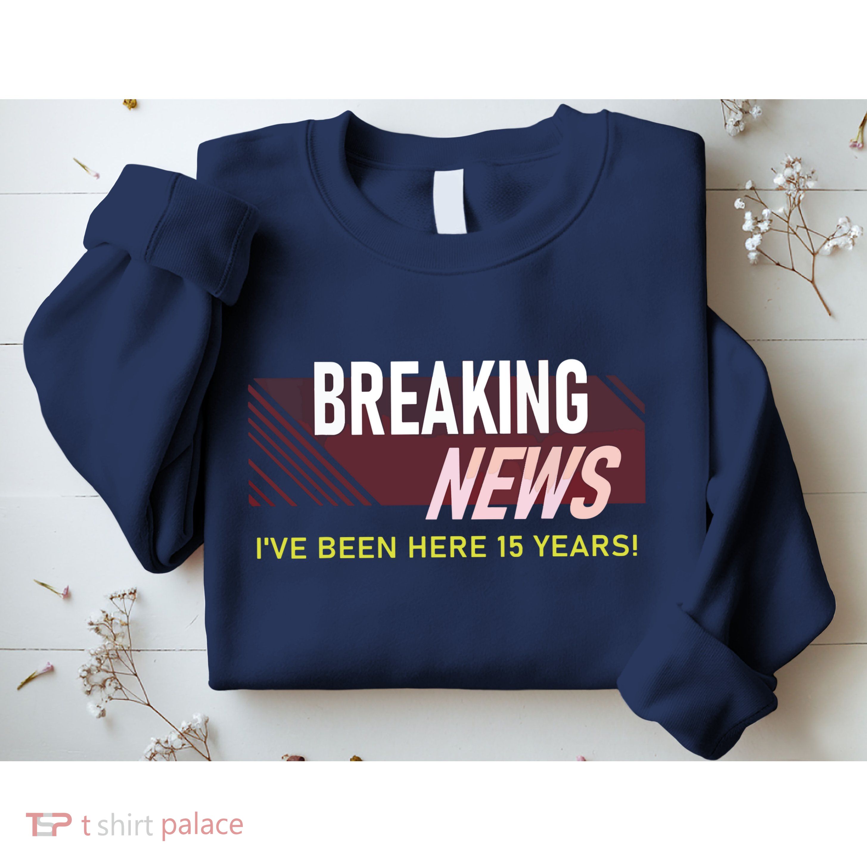 Funny 15 Year Work Anniversary 15th Employee Appreciation Sweatshirt