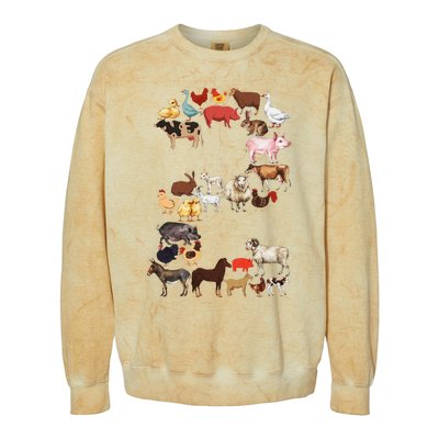 Fun 2nd Birthday Farm Animals Themed 2 Year Old Bday Colorblast Crewneck Sweatshirt