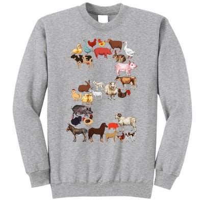 Fun 2nd Birthday Farm Animals Themed 2 Year Old Bday Tall Sweatshirt