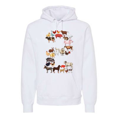 Fun 2nd Birthday Farm Animals Themed 2 Year Old Bday Premium Hoodie