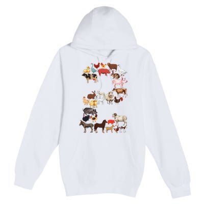 Fun 2nd Birthday Farm Animals Themed 2 Year Old Bday Premium Pullover Hoodie