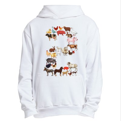 Fun 2nd Birthday Farm Animals Themed 2 Year Old Bday Urban Pullover Hoodie