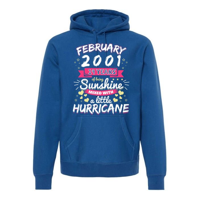 February 2001 Girl 19 Years Being Sunshine Mixed Hurricane Gift Premium Hoodie