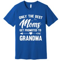 Family 365 Best Moms Get Promoted To Grandma Mothers Day Gift Premium T-Shirt