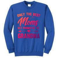 Family 365 Best Moms Get Promoted To Grandma Mothers Day Gift Sweatshirt