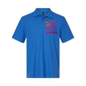 Family 365 Best Moms Get Promoted To Grandma Mothers Day Gift Softstyle Adult Sport Polo