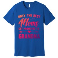 Family 365 Best Moms Get Promoted To Grandma Mothers Day Gift Premium T-Shirt