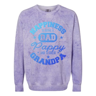 Family 365 Happiness Is Being A Dad Pappy And Great Grandpa Cool Gift Colorblast Crewneck Sweatshirt