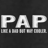 Family 365 Pap Like A Dad But Way Cooler Grandpa Great Gift Adult Drive Performance Visor