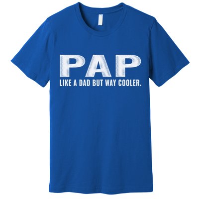 Family 365 Pap Like A Dad But Way Cooler Grandpa Great Gift Premium T-Shirt