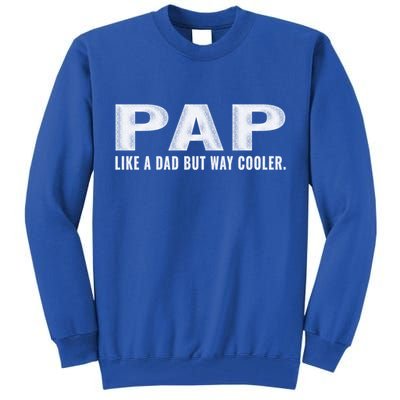 Family 365 Pap Like A Dad But Way Cooler Grandpa Great Gift Tall Sweatshirt