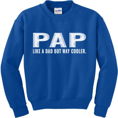 Family 365 Pap Like A Dad But Way Cooler Grandpa Great Gift Kids Sweatshirt