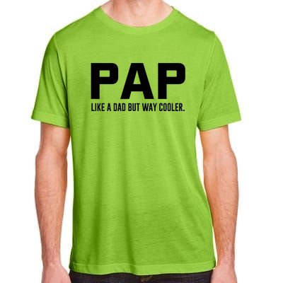 Family 365 Pap Like A Dad But Way Cooler Grandpa Great Gift Adult ChromaSoft Performance T-Shirt