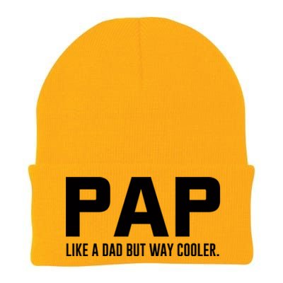 Family 365 Pap Like A Dad But Way Cooler Grandpa Great Gift Knit Cap Winter Beanie