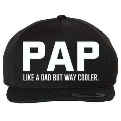 Family 365 Pap Like A Dad But Way Cooler Grandpa Great Gift Wool Snapback Cap