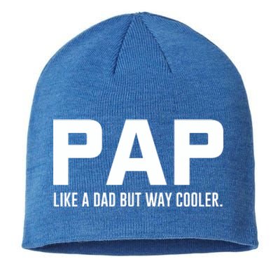 Family 365 Pap Like A Dad But Way Cooler Grandpa Great Gift Sustainable Beanie