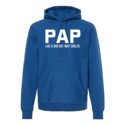 Family 365 Pap Like A Dad But Way Cooler Grandpa Great Gift Premium Hoodie