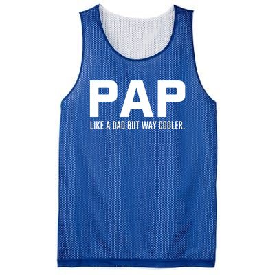 Family 365 Pap Like A Dad But Way Cooler Grandpa Great Gift Mesh Reversible Basketball Jersey Tank