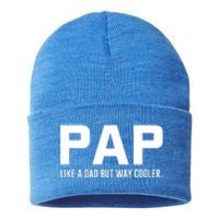 Family 365 Pap Like A Dad But Way Cooler Grandpa Great Gift Sustainable Knit Beanie