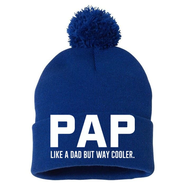 Family 365 Pap Like A Dad But Way Cooler Grandpa Great Gift Pom Pom 12in Knit Beanie