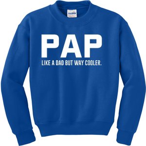 Family 365 Pap Like A Dad But Way Cooler Grandpa Great Gift Kids Sweatshirt