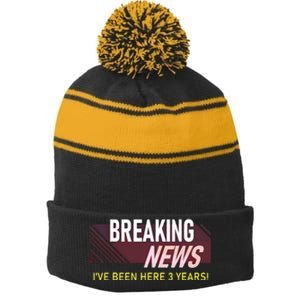 Funny 3 Year Work Anniversary 3rd Employee Appreciation Meme Stripe Pom Pom Beanie