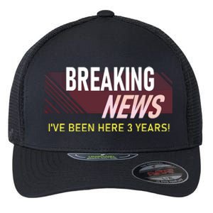 Funny 3 Year Work Anniversary 3rd Employee Appreciation Meme Flexfit Unipanel Trucker Cap