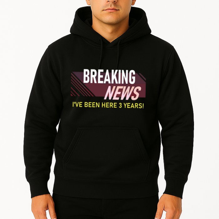 Funny 3 Year Work Anniversary 3rd Employee Appreciation Meme Hoodie