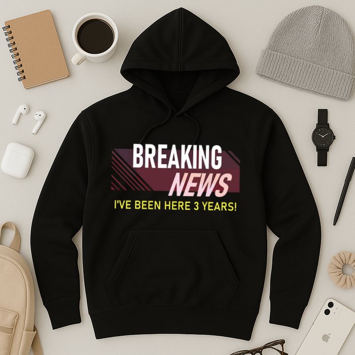 Funny 3 Year Work Anniversary 3rd Employee Appreciation Meme Hoodie